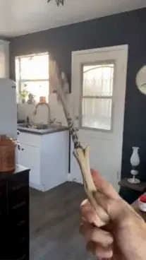 Harry Potter Wand Replica – Harry Potter